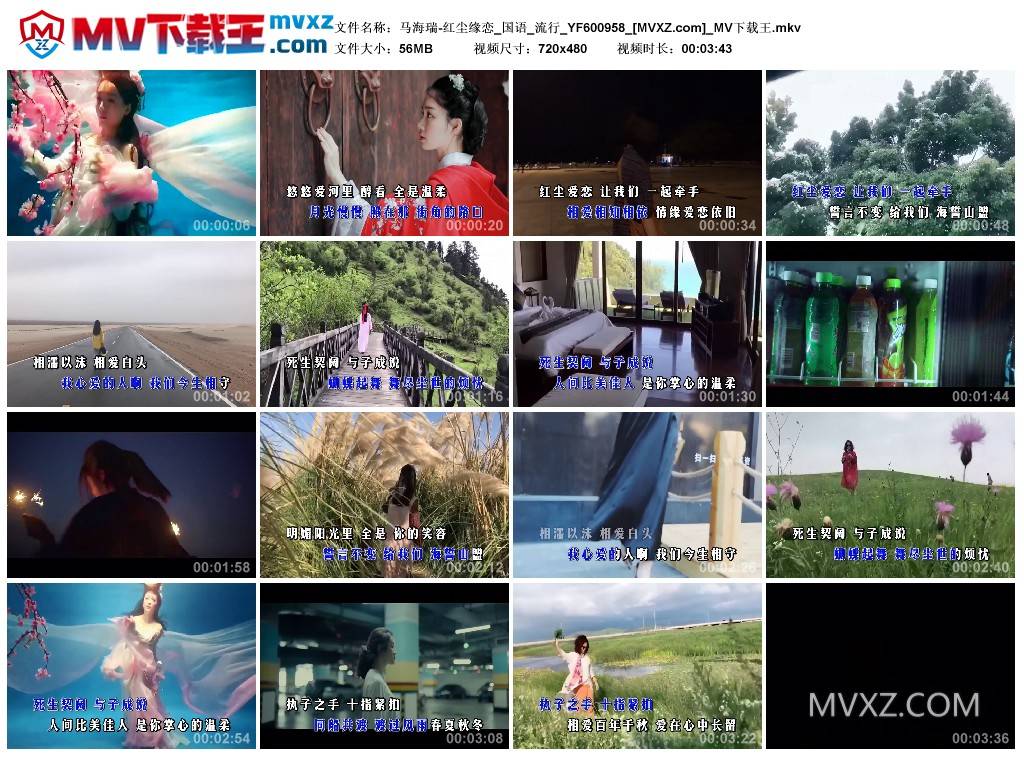 马海瑞-红尘缘恋_国语_流行_YF600958